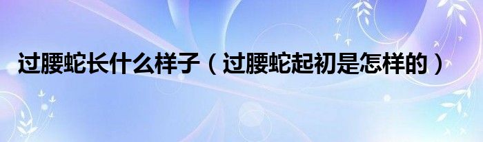過腰蛇長什么樣子（過腰蛇起初是怎樣的）