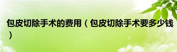 包皮切除手術(shù)的費用（包皮切除手術(shù)要多少錢）