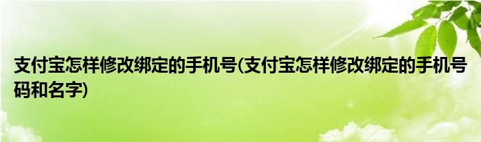 支付寶怎樣修改綁定的手機(jī)號(hào)(支付寶怎樣修改綁定的手機(jī)號(hào)碼和名字)