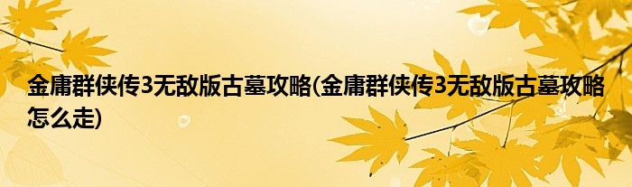 金庸群俠傳3無敵版古墓攻略(金庸群俠傳3無敵版古墓攻略怎么走)