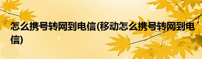 怎么攜號轉(zhuǎn)網(wǎng)到電信(移動怎么攜號轉(zhuǎn)網(wǎng)到電信)