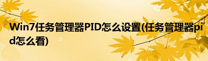 Win7任務(wù)管理器PID怎么設(shè)置(任務(wù)管理器pid怎么看)