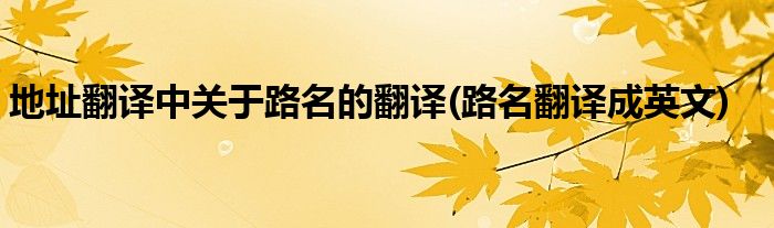地址翻譯中關(guān)于路名的翻譯(路名翻譯成英文)