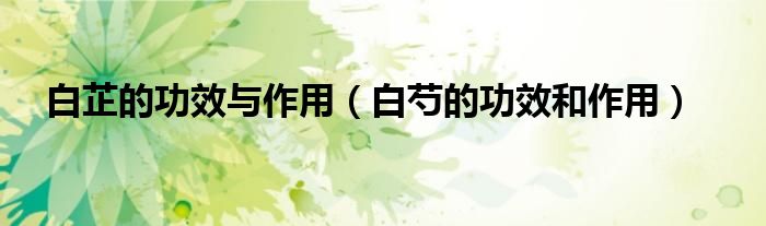 白芷的功效與作用（白芍的功效和作用）