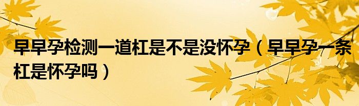 早早孕檢測一道杠是不是沒懷孕（早早孕一條杠是懷孕嗎）