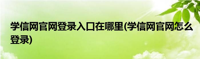 學信網官網登錄入口在哪里(學信網官網怎么登錄)