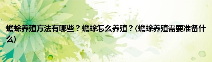 蟾蜍養(yǎng)殖方法有哪些？蟾蜍怎么養(yǎng)殖？(蟾蜍養(yǎng)殖需要準(zhǔn)備什么)