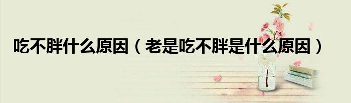 吃不胖什么原因（老是吃不胖是什么原因）