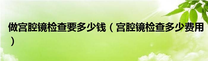 做宮腔鏡檢查要多少錢（宮腔鏡檢查多少費用）