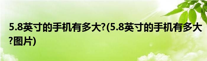 5.8英寸的手機(jī)有多大?(5.8英寸的手機(jī)有多大?圖片)