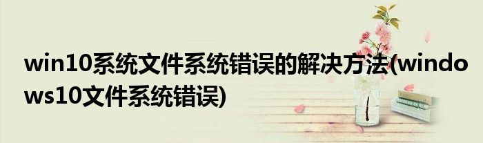 win10系統(tǒng)文件系統(tǒng)錯誤的解決方法(windows10文件系統(tǒng)錯誤)