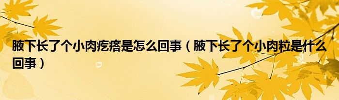 腋下長了個小肉疙瘩是怎么回事（腋下長了個小肉粒是什么回事）