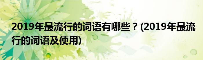 2019年最流行的詞語有哪些？(2019年最流行的詞語及使用)