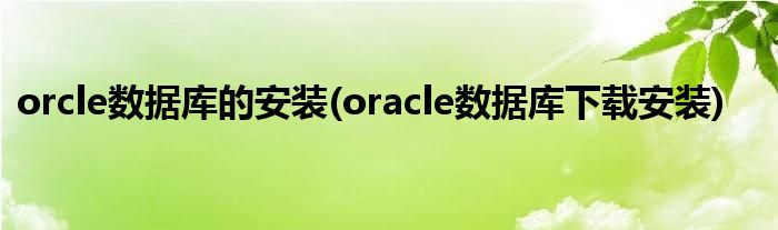 orcle數(shù)據(jù)庫的安裝(oracle數(shù)據(jù)庫下載安裝)