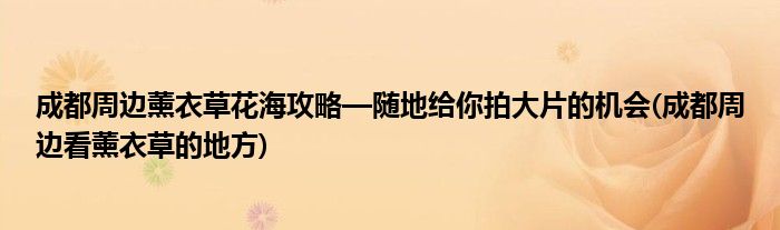 成都周邊薰衣草花海攻略—隨地給你拍大片的機(jī)會(huì)(成都周邊看薰衣草的地方)