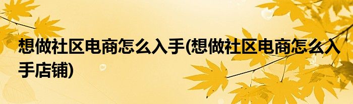 想做社區(qū)電商怎么入手(想做社區(qū)電商怎么入手店鋪)