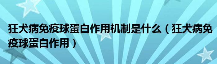 狂犬病免疫球蛋白作用機制是什么（狂犬病免疫球蛋白作用）