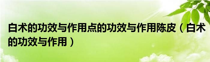 白術(shù)的功效與作用點的功效與作用陳皮（白術(shù)的功效與作用）