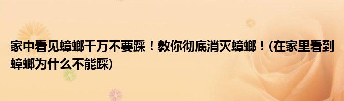 家中看見(jiàn)蟑螂千萬(wàn)不要踩！教你徹底消滅蟑螂！(在家里看到蟑螂為什么不能踩)