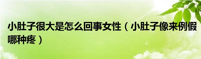 小肚子很大是怎么回事女性（小肚子像來(lái)例假哪種疼）
