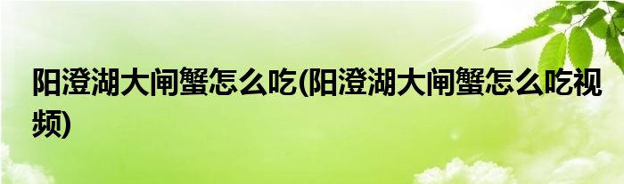 陽澄湖大閘蟹怎么吃(陽澄湖大閘蟹怎么吃視頻)