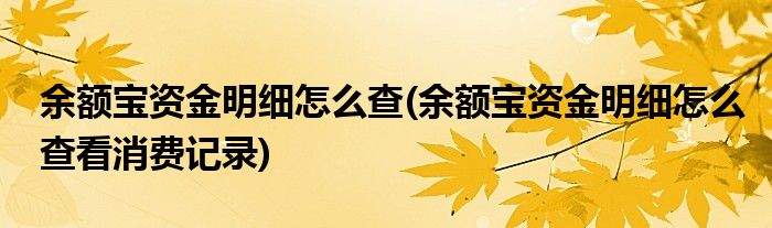 余額寶資金明細(xì)怎么查(余額寶資金明細(xì)怎么查看消費(fèi)記錄)