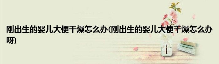 剛出生的嬰兒大便干燥怎么辦(剛出生的嬰兒大便干燥怎么辦呀)