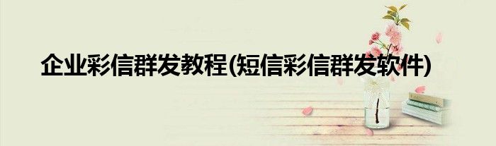 企業(yè)彩信群發(fā)教程(短信彩信群發(fā)軟件)