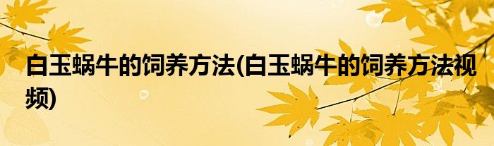 白玉蝸牛的飼養(yǎng)方法(白玉蝸牛的飼養(yǎng)方法視頻)