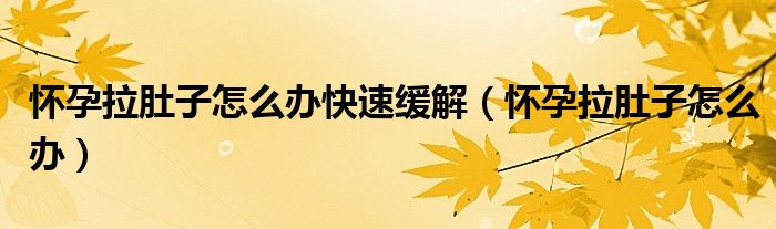 懷孕拉肚子怎么辦快速緩解(懷孕拉肚子怎么辦)