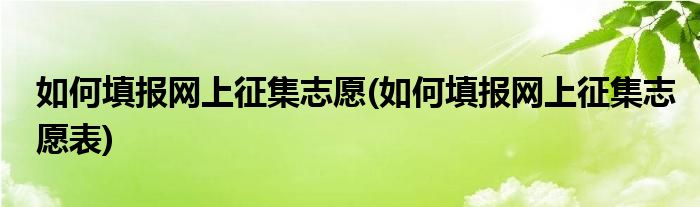 如何填報網(wǎng)上征集志愿(如何填報網(wǎng)上征集志愿表)