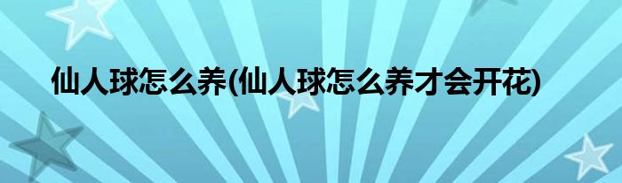 仙人球怎么養(yǎng)(仙人球怎么養(yǎng)才會開花)
