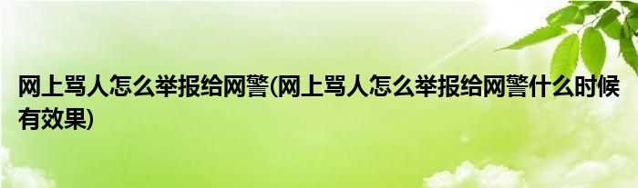 網(wǎng)上罵人怎么舉報給網(wǎng)警(網(wǎng)上罵人怎么舉報給網(wǎng)警什么時候有效果)