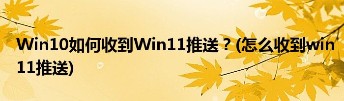 Win10如何收到Win11推送？(怎么收到win11推送)