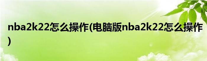 nba2k22怎么操作(電腦版nba2k22怎么操作)
