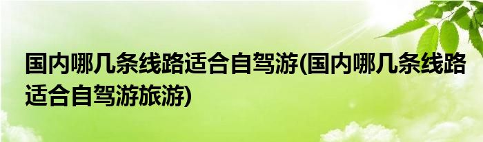 國內(nèi)哪幾條線路適合自駕游(國內(nèi)哪幾條線路適合自駕游旅游)