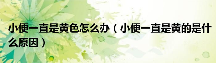 小便一直是黃色怎么辦（小便一直是黃的是什么原因）