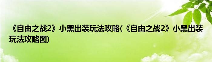 《自由之戰(zhàn)2》小黑出裝玩法攻略(《自由之戰(zhàn)2》小黑出裝玩法攻略圖)