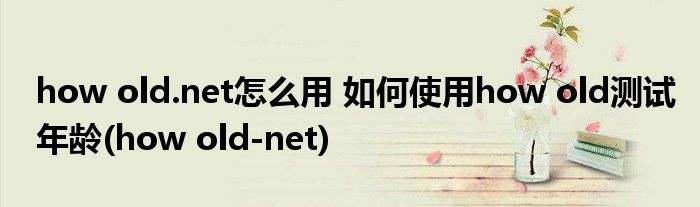 how old.net怎么用 如何使用how old測試年齡(how old-net)