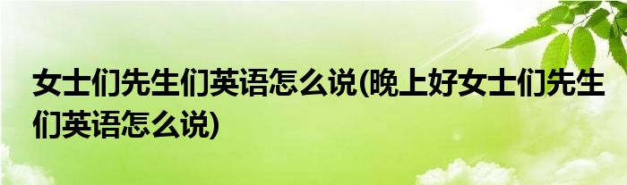 女士們先生們英語怎么說(晚上好女士們先生們英語怎么說)