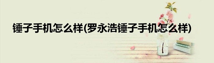 錘子手機怎么樣(羅永浩錘子手機怎么樣)