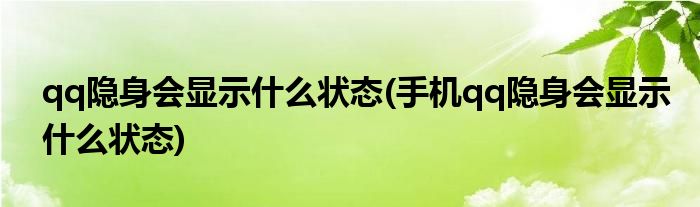 qq隱身會(huì)顯示什么狀態(tài)(手機(jī)qq隱身會(huì)顯示什么狀態(tài))
