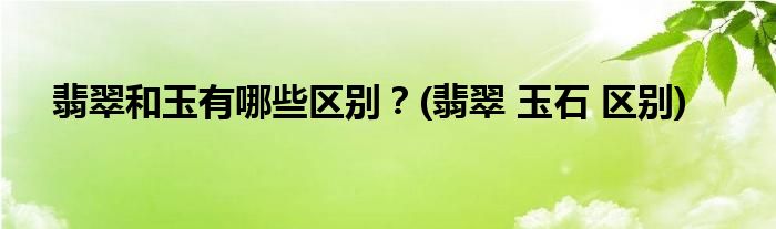 翡翠和玉有哪些區(qū)別？(翡翠 玉石 區(qū)別)