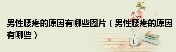 男性腰疼的原因有哪些圖片(男性腰疼的原因有哪些)