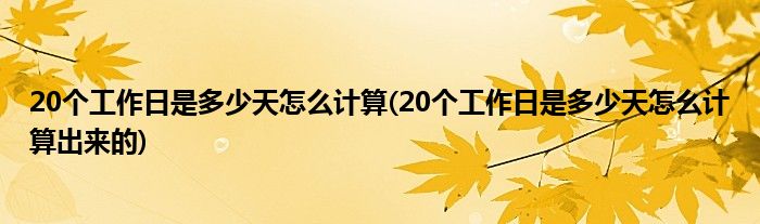 20個(gè)工作日是多少天怎么計(jì)算(20個(gè)工作日是多少天怎么計(jì)算出來(lái)的)