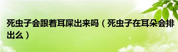 死蟲子會跟著耳屎出來嗎（死蟲子在耳朵會排出么）