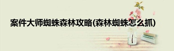 案件大師蜘蛛森林攻略(森林蜘蛛怎么抓)