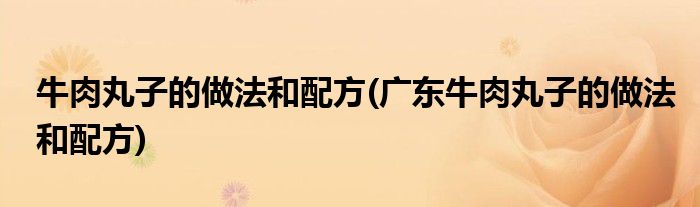 牛肉丸子的做法和配方(廣東牛肉丸子的做法和配方)