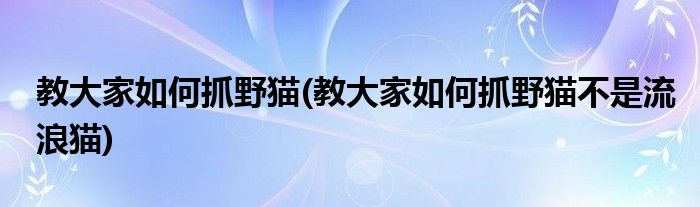 教大家如何抓野貓(教大家如何抓野貓不是流浪貓)