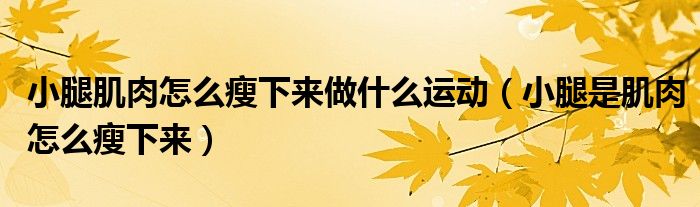 小腿肌肉怎么瘦下來做什么運動（小腿是肌肉怎么瘦下來）
